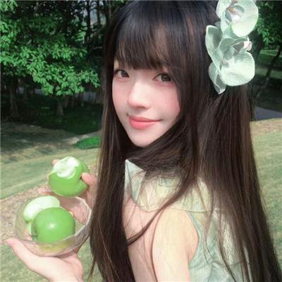 柳川堀割物语